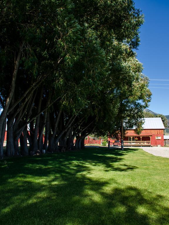 Hansen Guest Ranch Swan Valley Exteriör bild